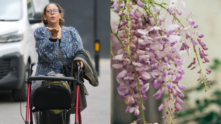 Woman Destroys Downstairs Neighbors’ Wisteria and Hits Them With Crutch (Then Immediately Breeches Her Recent Restraining Order)