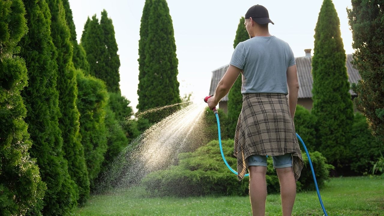 Watering the grass