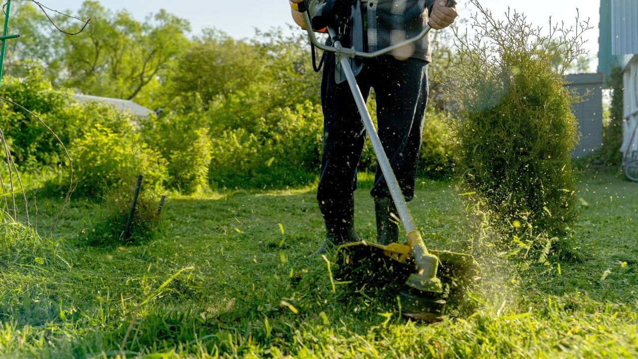 Grass trimmer on the grass