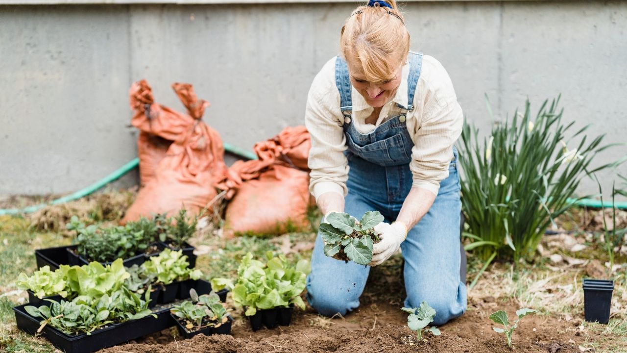 Home Gardener