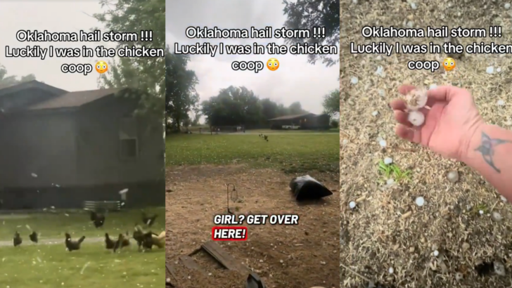 Oklahoma Farmer Corrals Chickens Into Their Coop During a Dangerous Hailstorm
