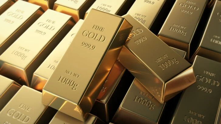 He Had Millions in Gold Bars at Home — and Nobody Noticed for Nearly 20 Years