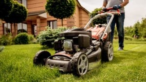 Gardener mowing the lawn. Landscape design. Green grass background