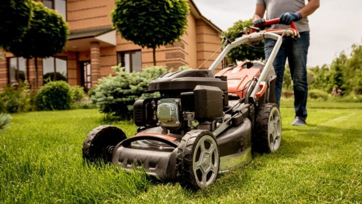 Are You Making An Enemy of Your Neighbors? 12 Yard Habits To Stop Right Now