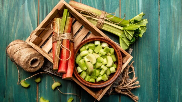 13 Ways to Use Every Part of Your Rhubarb Plant (Even the Leaves)