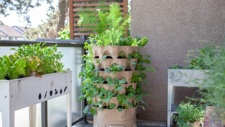 Small Yard or Patio? These 14 Plants Thrive in Vertical Gardening Spaces
