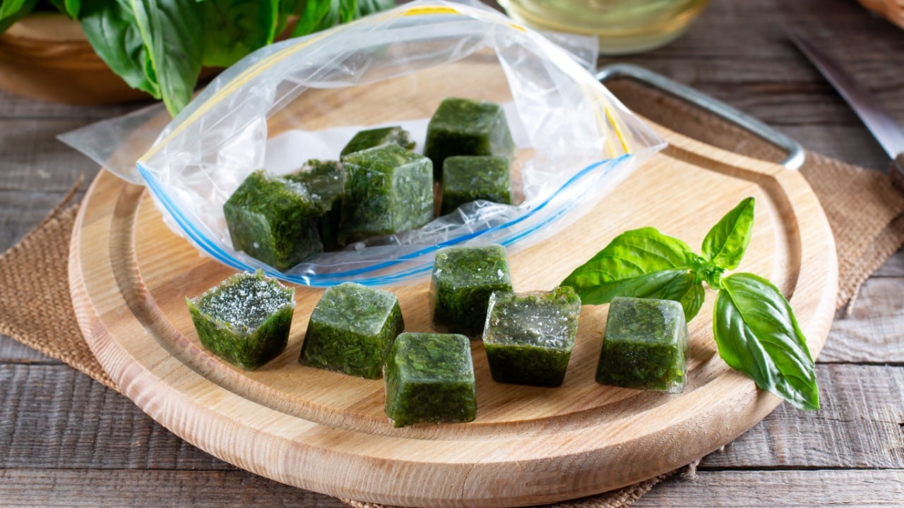 Frozen basil leaves (basilius) in ice cubes with fresh basil on a table. Frozen food concept