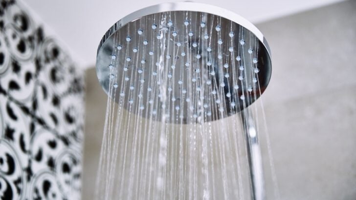 How Often Should You Really Clean Your Showerhead? Experts Weigh In