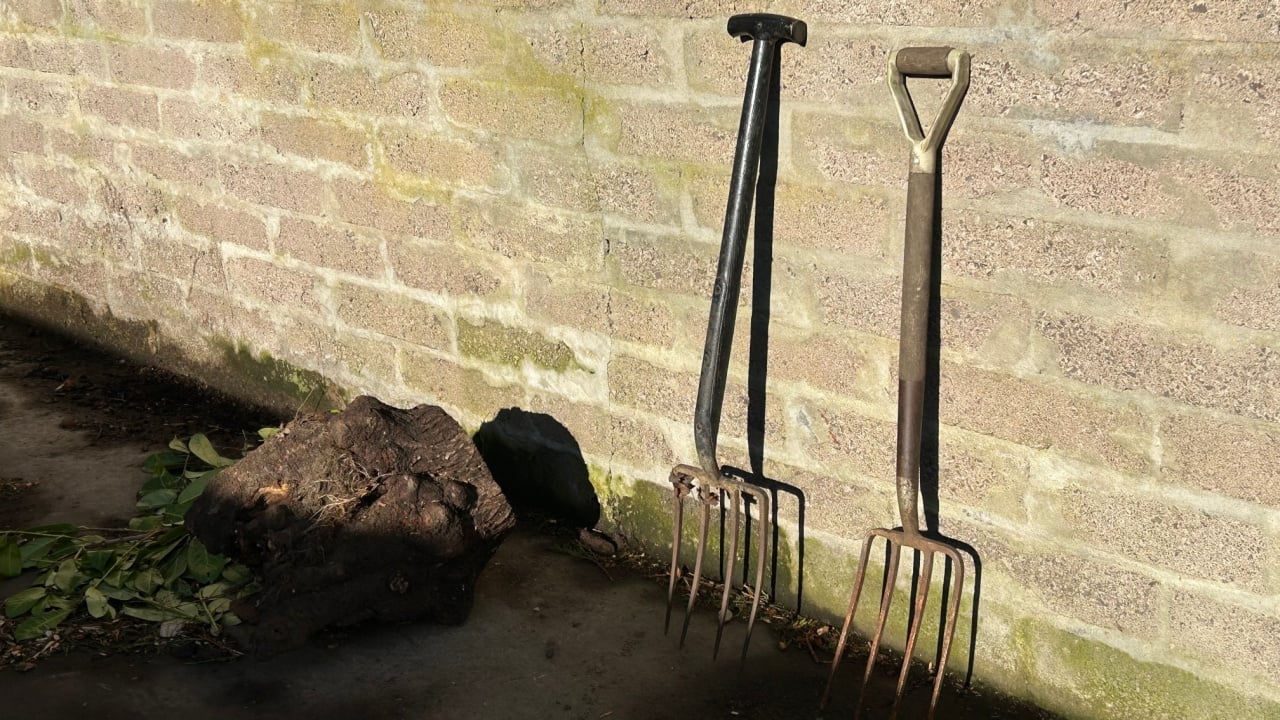 Two garden forks at a garden