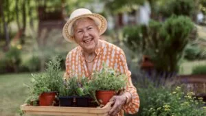 Senior woman harvesting herbs in her garden during summer evening, holding tray with herbs and smiling.