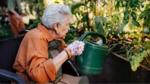 Portrait of senior woman taking care of vegetable plants in urban garden.