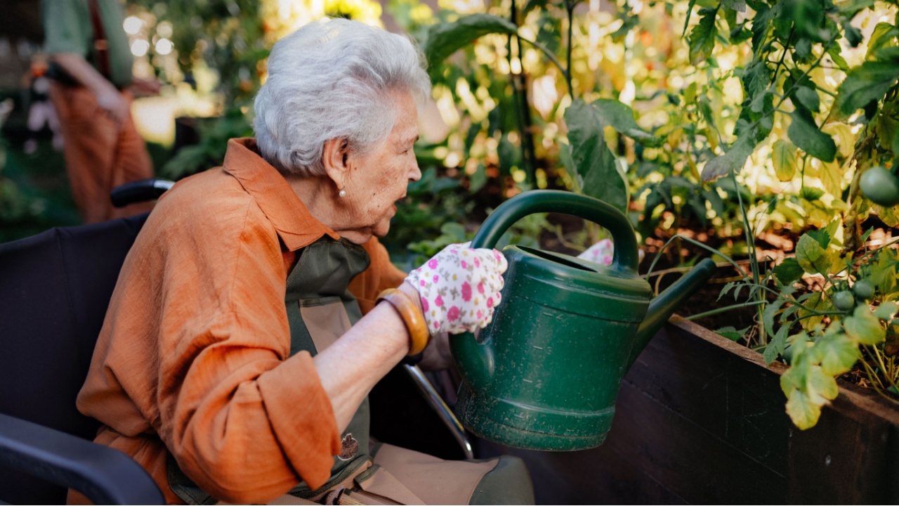 Portrait of senior woman taking care of vegetable plants in urban garden.