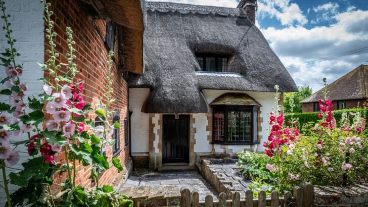 The Plants Your Grandmother Grew That Are Making a Stunning Comeback in Cottage Gardens Everywhere