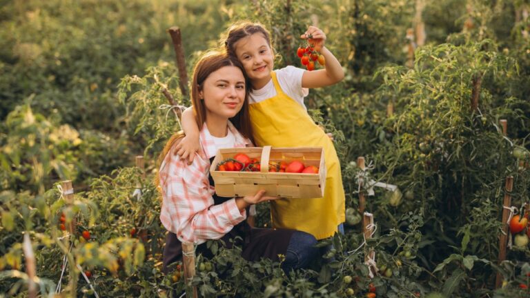 Mother and daughter in a vibrant garden harvesting fresh tomatoes. They enjoy family time and embrace sustainable, organic farming practices.