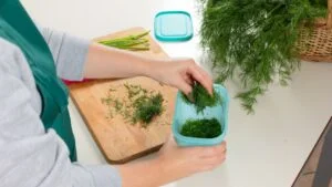 Woman storing freshly chopped dill in container for preserving herbs.