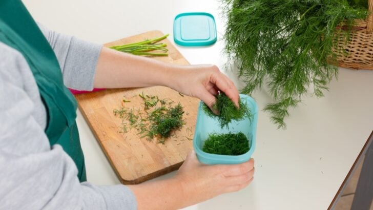 How to Store Herbs so They Don’t Wilt