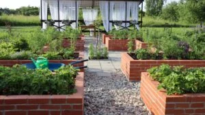 A modern vegetable garden with raised bricks beds. Raised beds gardening in an urban garden growing plants, herbs, berries and vegetables