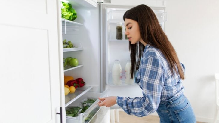 Keep or Toss After a Power Outage? The Food Safety Timeline Every Homeowner Needs to Know