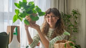 Home gardening hobbyist sitting at a table, holding a vibrant potted pothos plant surrounded by various plants, gardening tools, and supplies, enjoying a moment of relaxation and growth