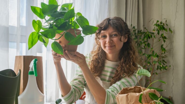 Home gardening hobbyist sitting at a table, holding a vibrant potted pothos plant surrounded by various plants, gardening tools, and supplies, enjoying a moment of relaxation and growth