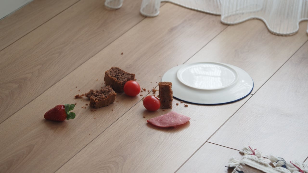 cake and plate dropped on a wooden floor
