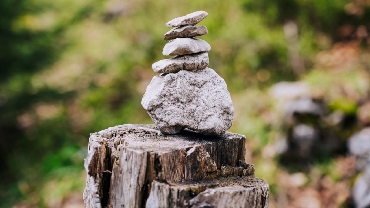 Piled stones on a tree stump in a forest.