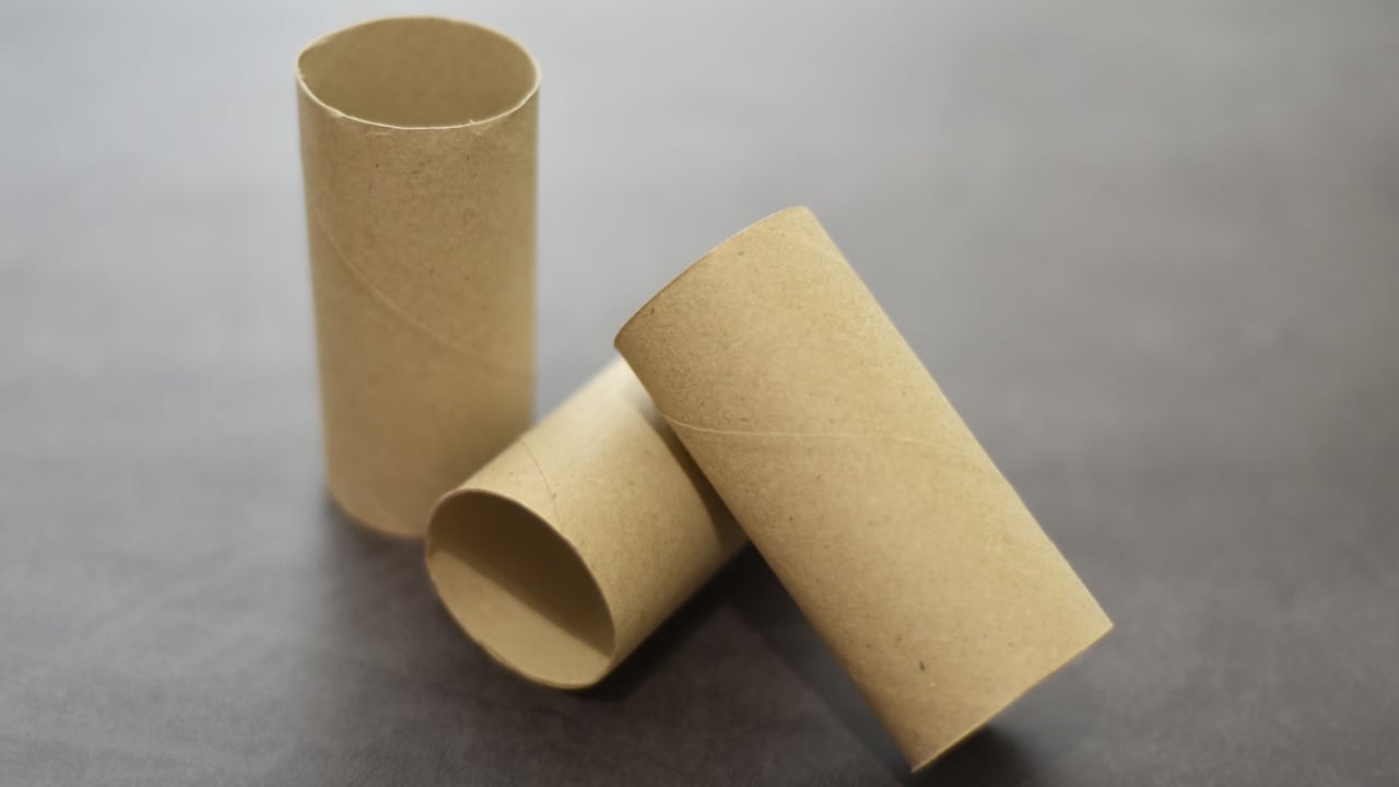 Photo of empty toilet paper tubes. Recycling icon.