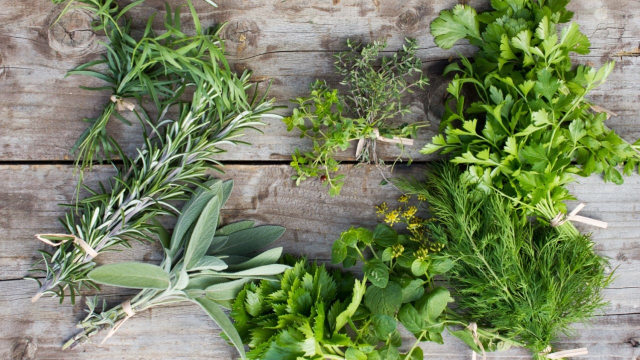Fresh herbs: thyme, tarragon, sage, rosemary, parsley, mint, dill, coriander, celery, thyme