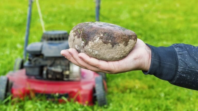 Man's hand with stone before lawn mower