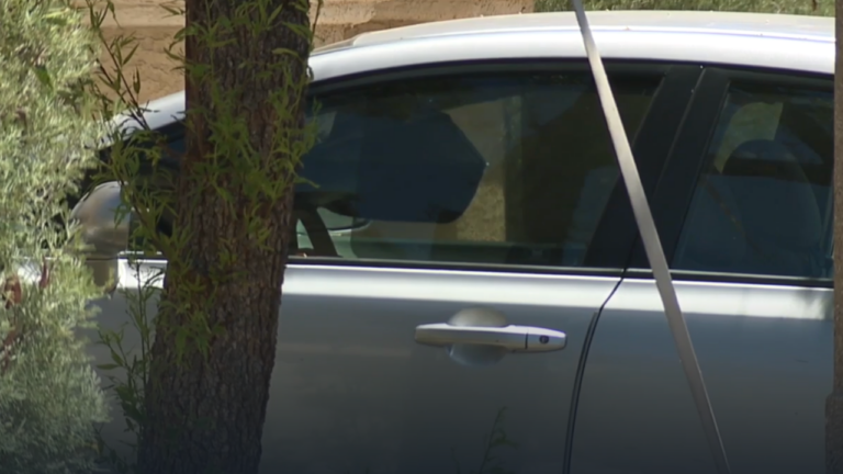 Thieves Caught on Camera Hit Cars Across a Las Vegas Neighborhood While Everyone Slept