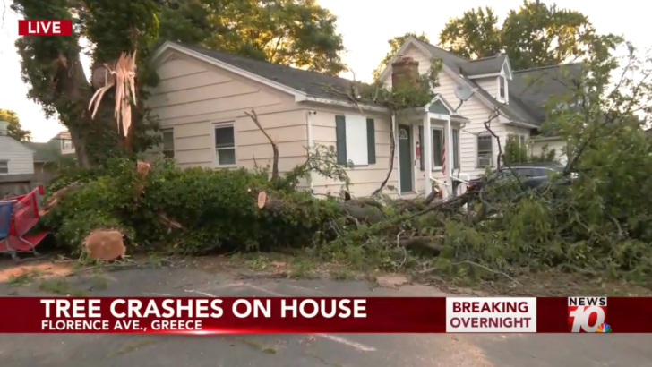 Tree Crashes Through Bedroom Window — and This Homeowner Thankfully Escapes Injury