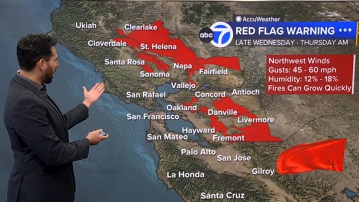 Bay Area Red Flag Warning Puts Roofs, Gutters, and Yard Debris in Focus