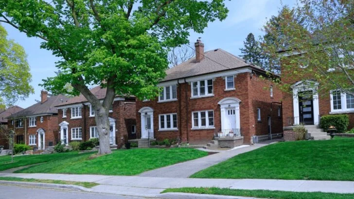 Street Trees Can Add Shade and Value, but Homeowners May Get the Hidden Bill