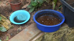 stagnant water