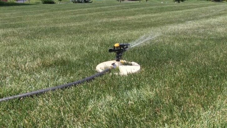 The Simple Lawn Test That Tells Homeowners If Grass Is Stressed From Drought