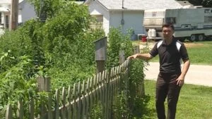 Native Plant Garden Cited as High Grass and Weeds in Millstadt, Illinois