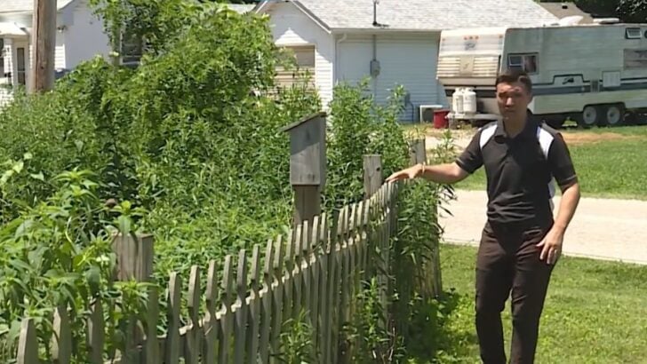 Illinois Gardener’s Weed Citation Shows Why Homeowners Should Document Native Plant Yards
