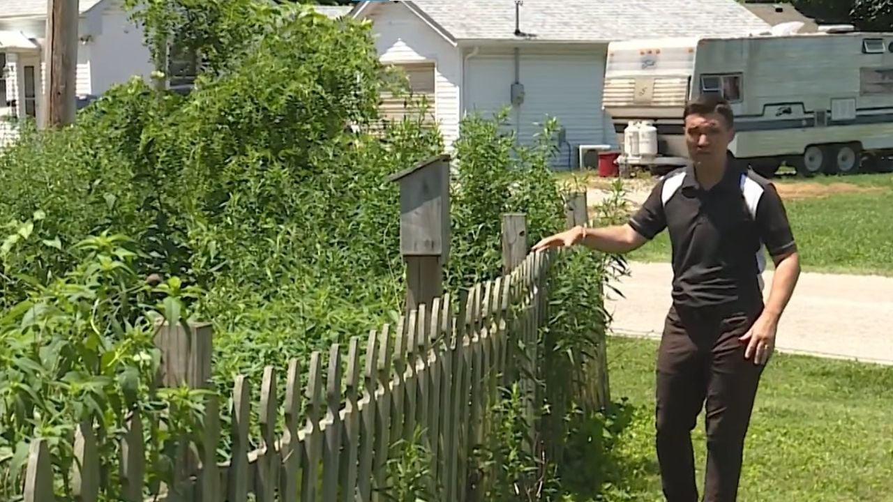 Native Plant Garden Cited as High Grass and Weeds in Millstadt, Illinois