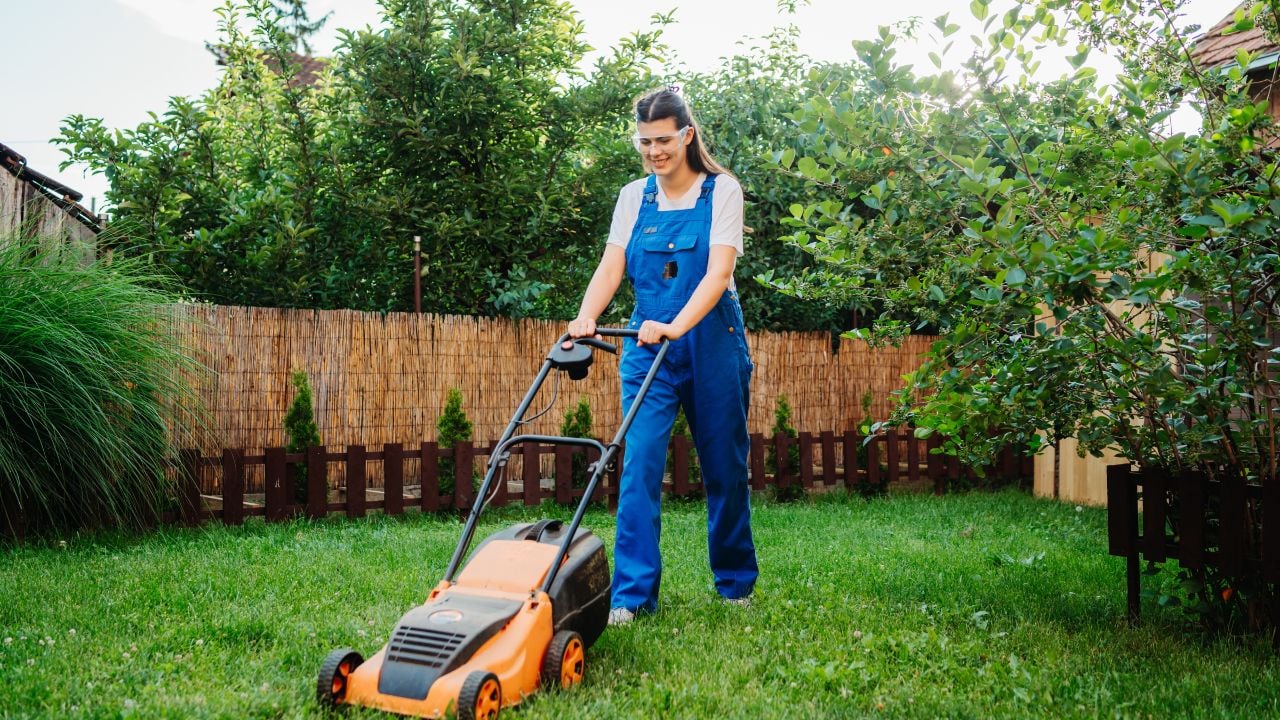 lawn mowing backyard from center