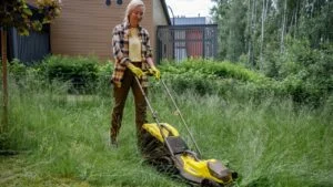 lawn mower backyard tall grass