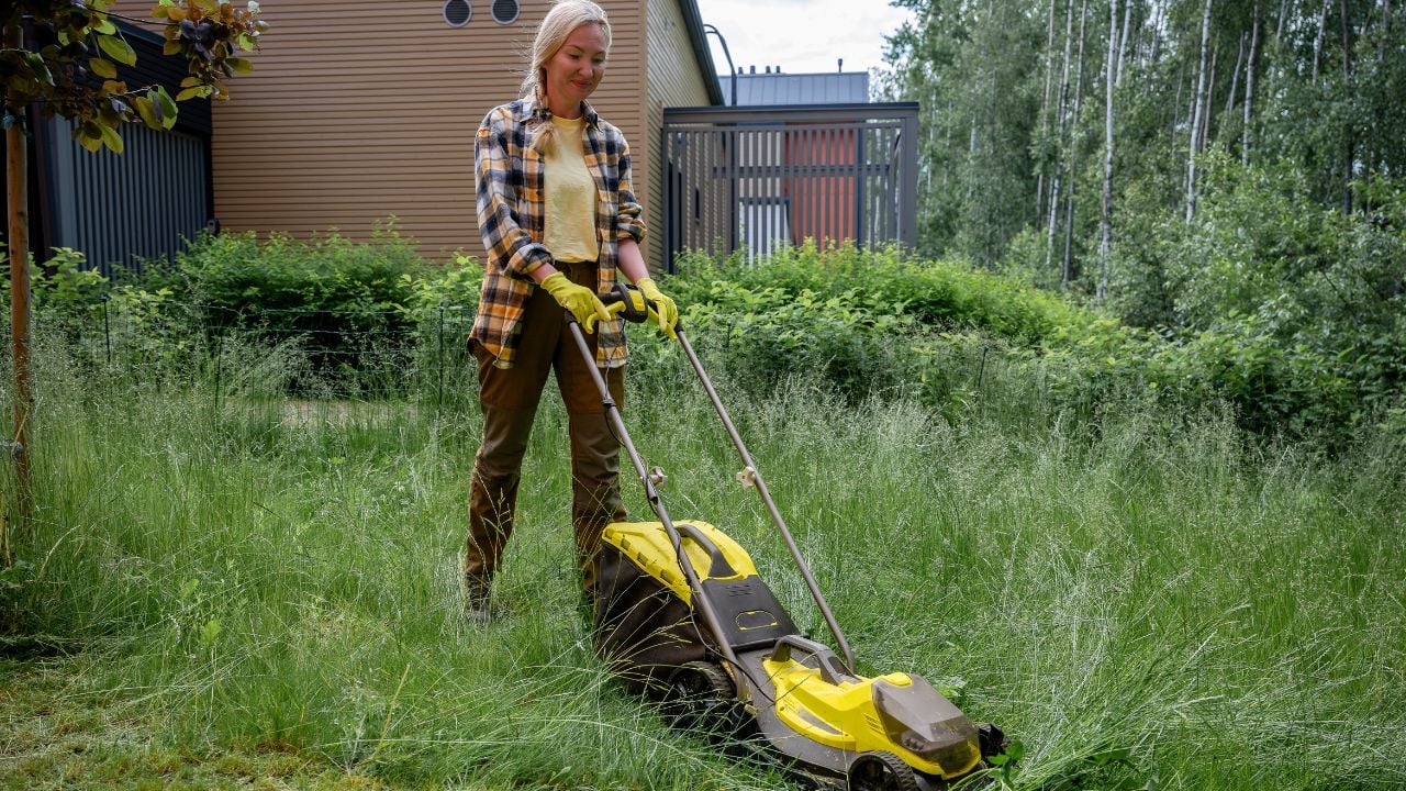 lawn mower backyard tall grass
