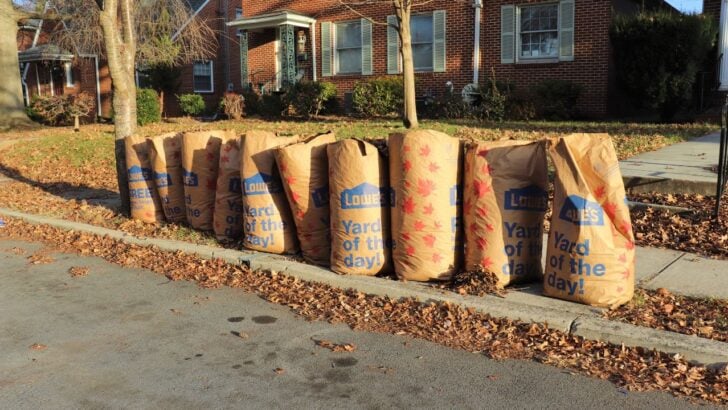 As Yard Cleanup Fills Curbside Bags, One Indiana City Says Trash Stickers Won’t Cover Leaves and Grass
