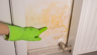Woman in gloves showing flooded wall. The wall is peeling near the heating radiator. Pipe leak problem. Renovation concept.