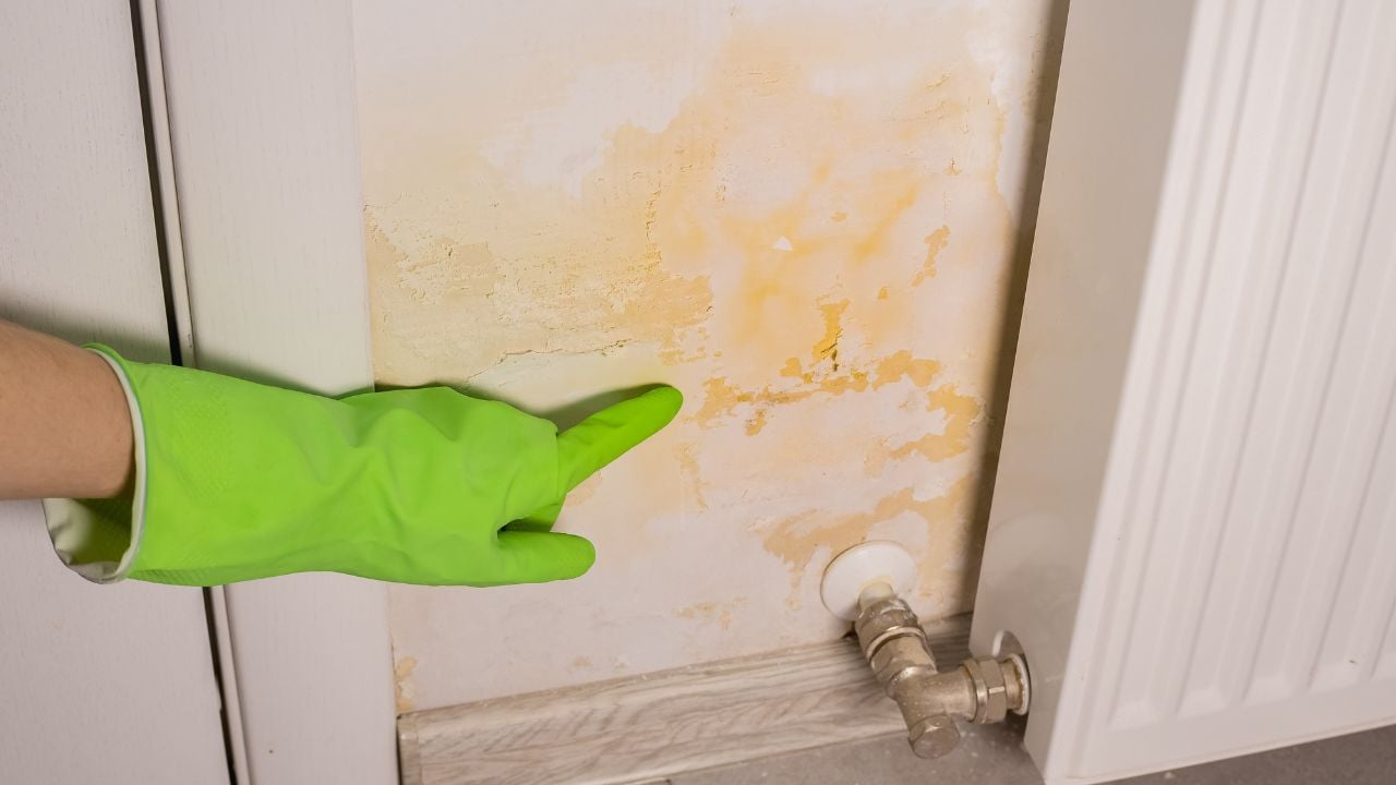 Woman in gloves showing flooded wall. The wall is peeling near the heating radiator. Pipe leak problem. Renovation concept.