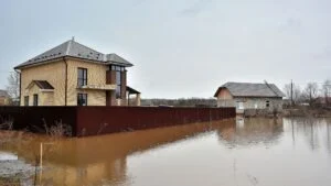 flooded backyard