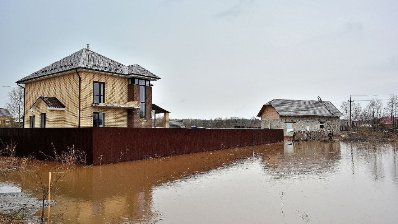 flooded backyard