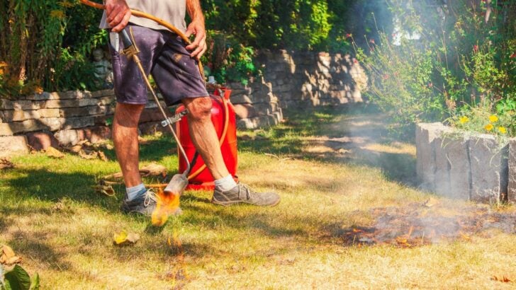A Homeowner Burned Weeds. An Hour Later, Smoke Filled the Basement