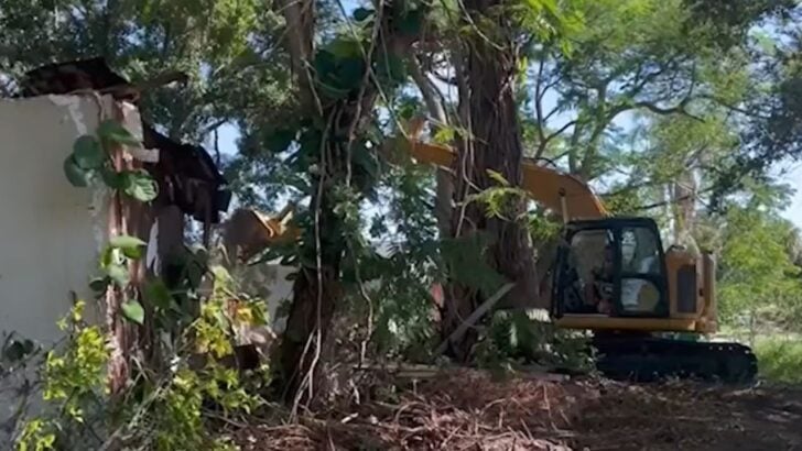 Florida City Tears Down Long-Vacant ‘Horror House’ After Years of Complaints