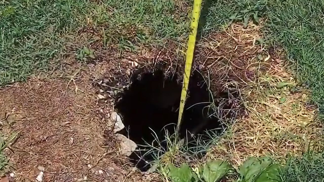 Growing Sinkhole in Yard