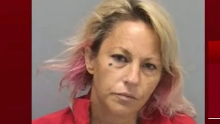 Police Say Surveillance Camera Helped Catch Woman Near Home’s Rear Sliding Door